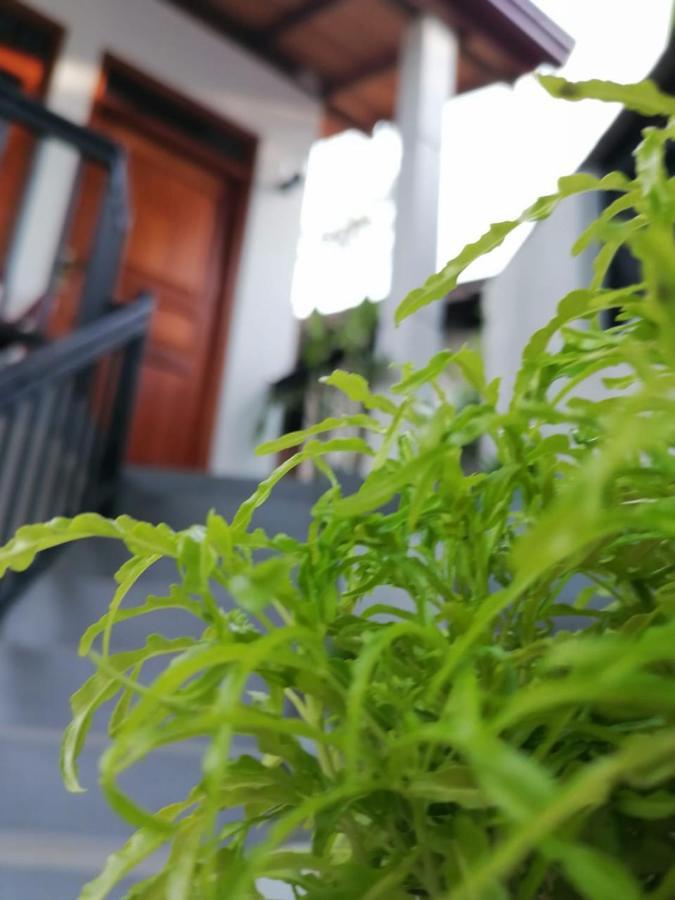 Villa Wismar ฮิกคาดูวา ภายนอก รูปภาพ