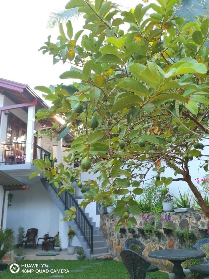 Villa Wismar ฮิกคาดูวา ภายนอก รูปภาพ